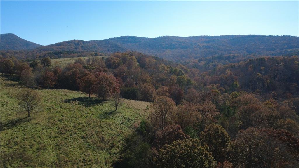 1350 Stivers Road Jasper, GA 30143 - Photo 24 of 69 a view of a mountain with an outdoor space