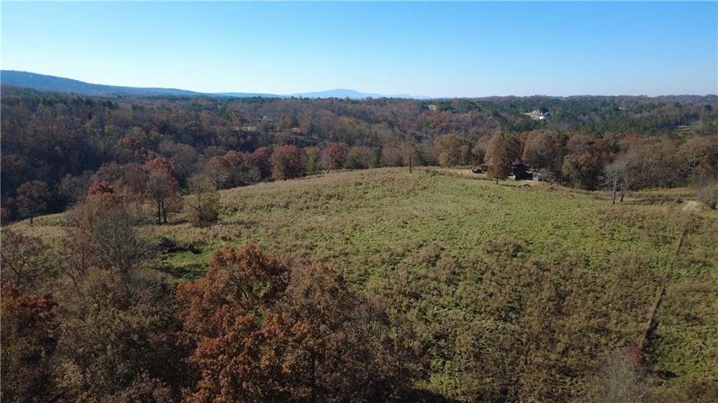 1350 Stivers Road Jasper, GA 30143 - Photo 25 of 69