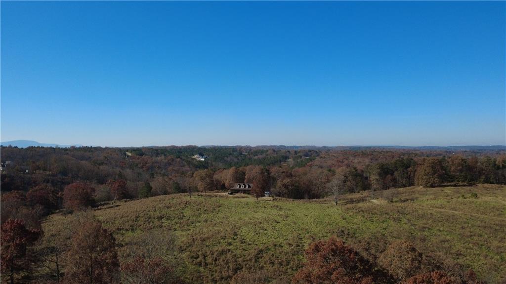 1350 Stivers Road Jasper, GA 30143 - Photo 38 of 69 a view of a dry yard with green space