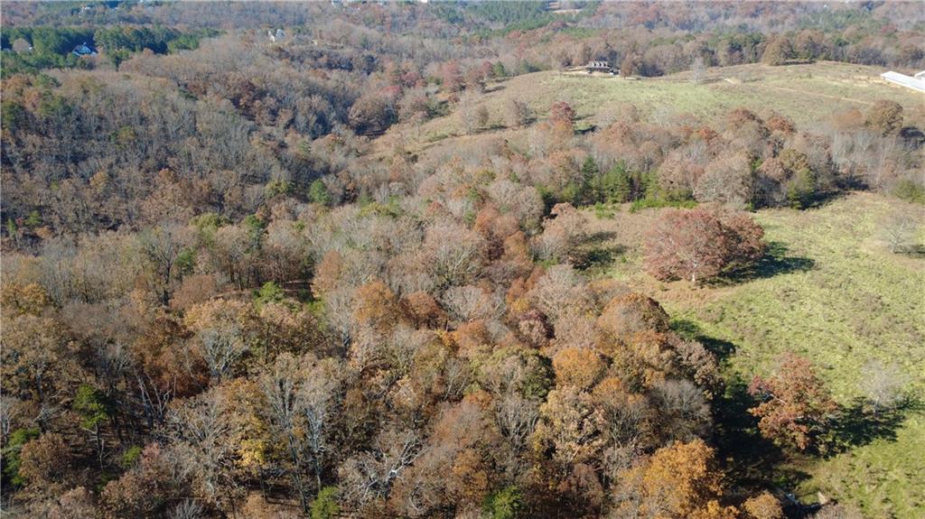 1350 Stivers Road Jasper, GA 30143 - Photo 39 of 69 a view of a bunch of trees and bushes