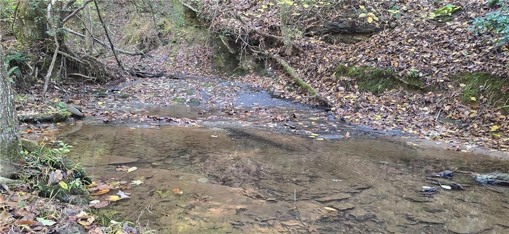 1350 Stivers Road Jasper, GA 30143 - Photo 41 of 69