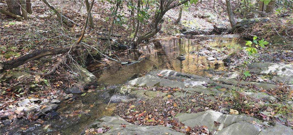 1350 Stivers Road Jasper, GA 30143 - Photo 44 of 69