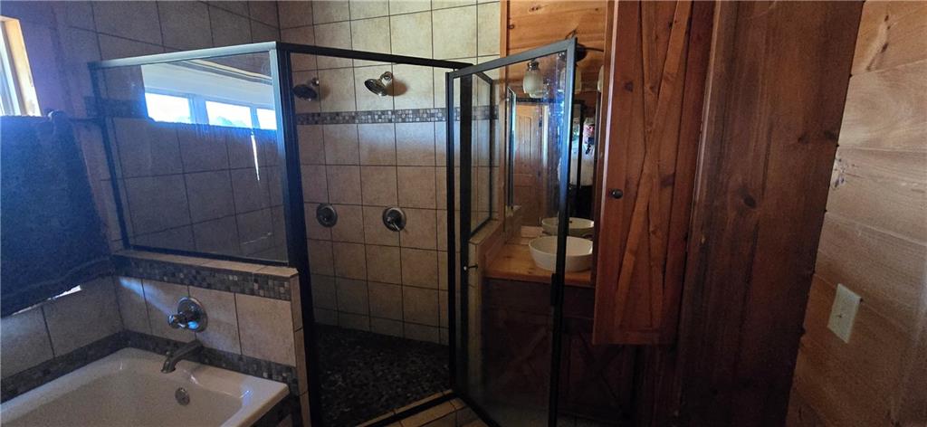 1350 Stivers Road Jasper, GA 30143 - Photo 65 of 69 a bathroom with a tub and a sink