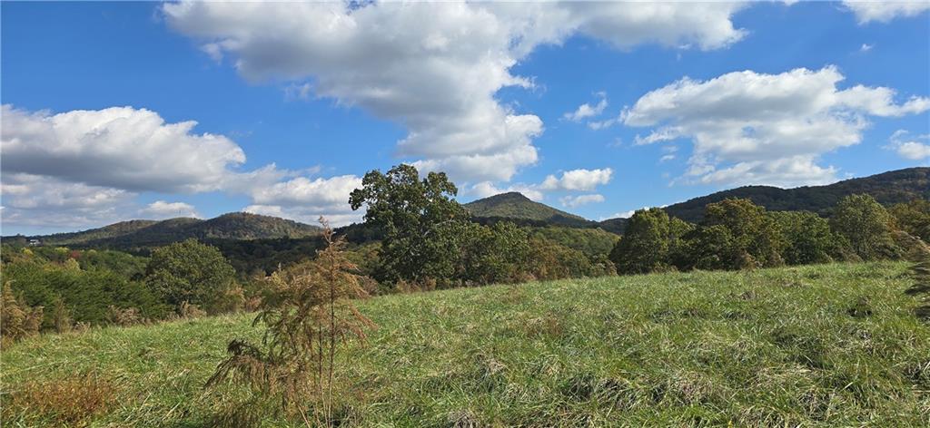 1350 Stivers Road Jasper, GA 30143 - Photo 9 of 69