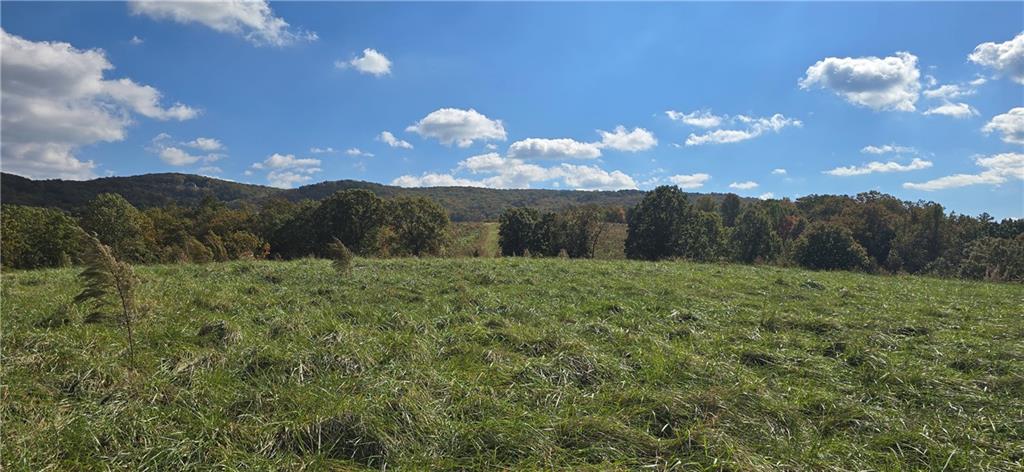 1350 Stivers Road Jasper, GA 30143 - Photo 10 of 69 a view of a big yard
