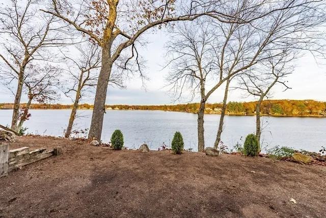 a view of ocean with large trees