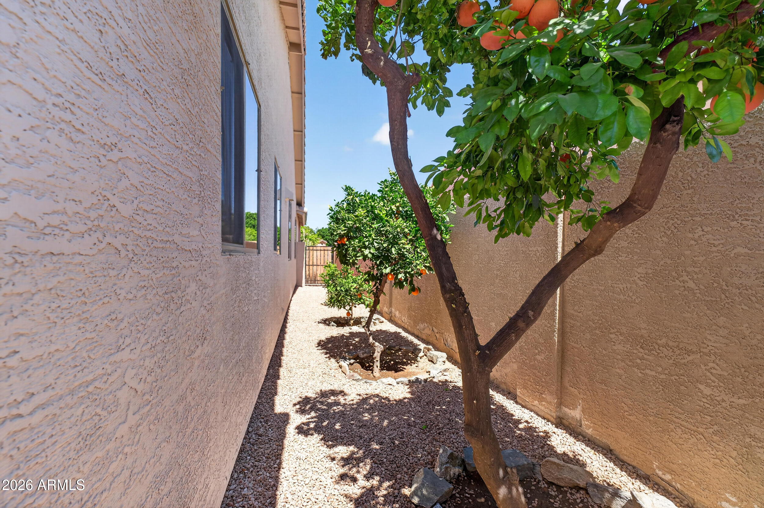 625 West Merrill Avenue Gilbert, AZ 85233 - Photo 40 of 48 a view of a backyard