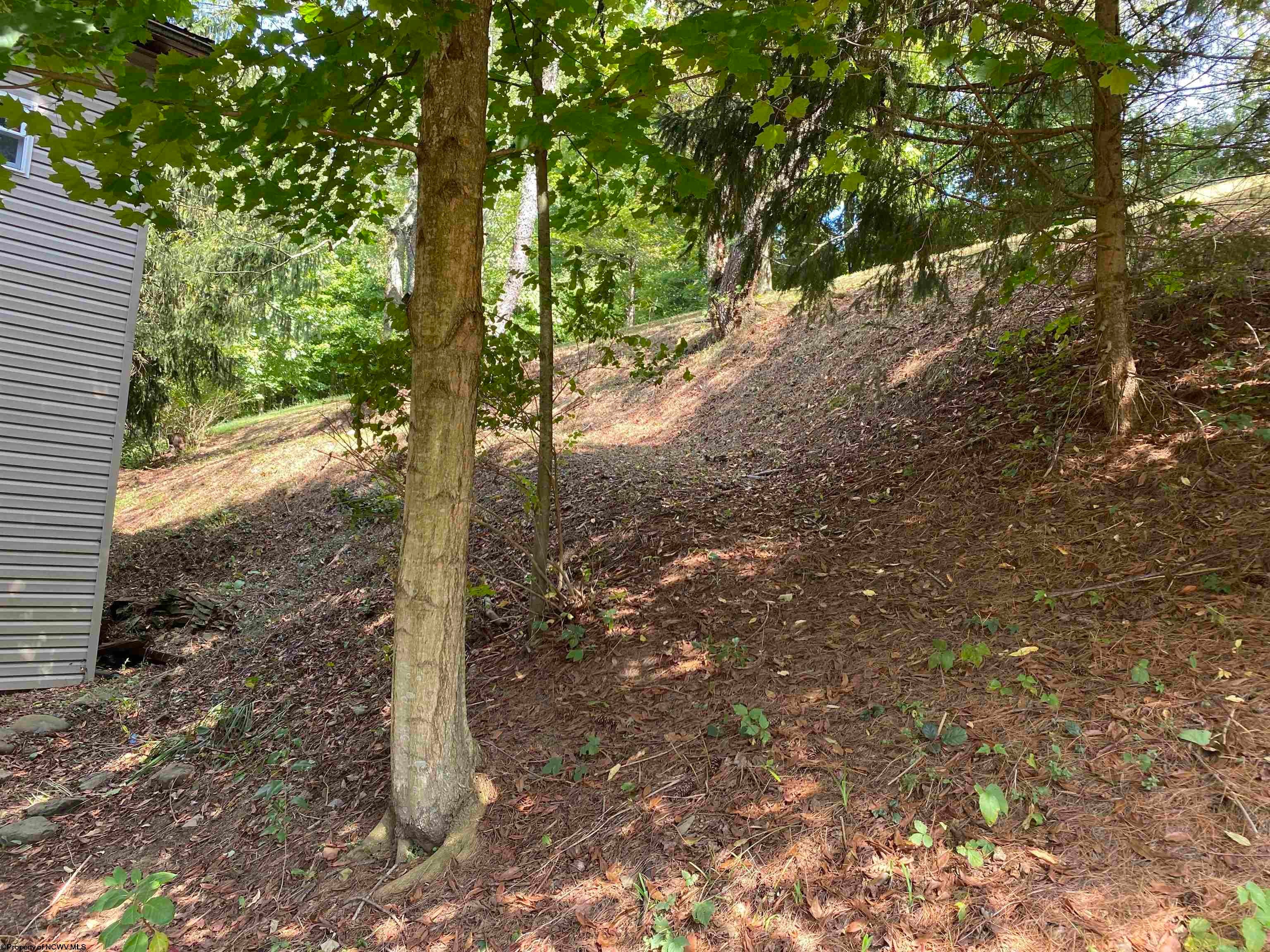 13 Rustic Drive Buckhannon, WV 26201 - Photo 49 of 49 Gallery Image 49
