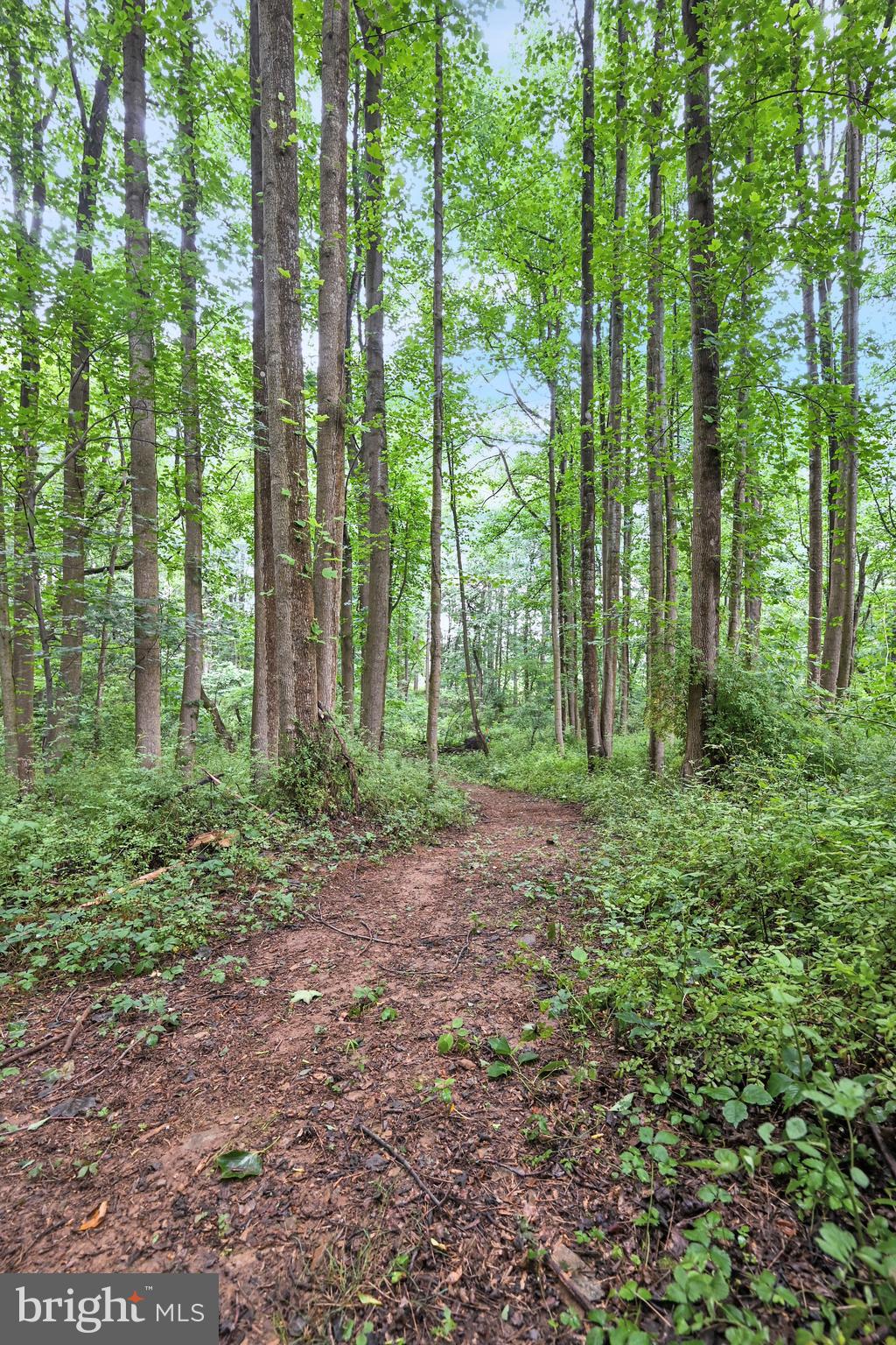 2131 Whiteford Road Whiteford, MD 21160 - Photo 33 of 36