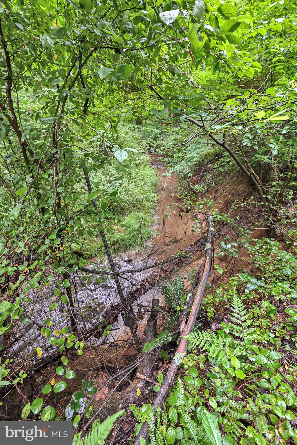 2131 Whiteford Road Whiteford, MD 21160 - Photo 34 of 36