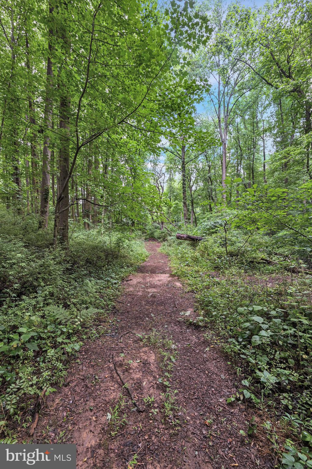 2131 Whiteford Road Whiteford, MD 21160 - Photo 35 of 36