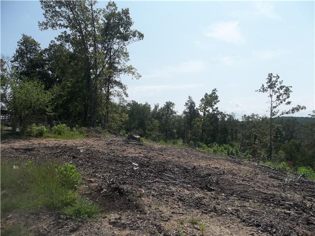 206 Linden Farm Road Linden, TN 37096 - Photo 5 of 16 Gallery Image 5
