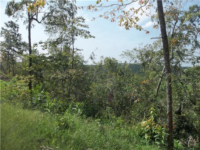 206 Linden Farm Road Linden, TN 37096 - Photo 6 of 16 Gallery Image 6
