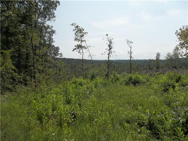 206 Linden Farm Road Linden, TN 37096 - Photo 10 of 16 Gallery Image 10