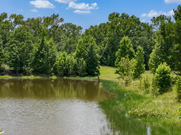 $116,500 | 17952 County Road 224, Oakwood, TX 75855