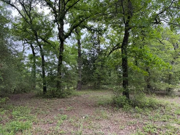 $116,500 | 17952 County Road 224, Oakwood, TX 75855