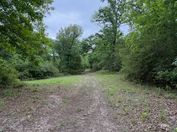 $116,500 | 17952 County Road 224, Oakwood, TX 75855