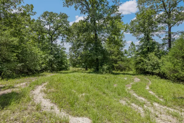 $116,500 | 17952 County Road 224, Oakwood, TX 75855