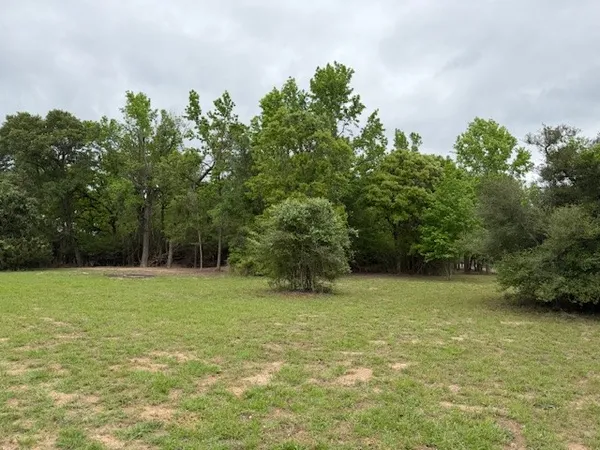$116,500 | 17952 County Road 224, Oakwood, TX 75855