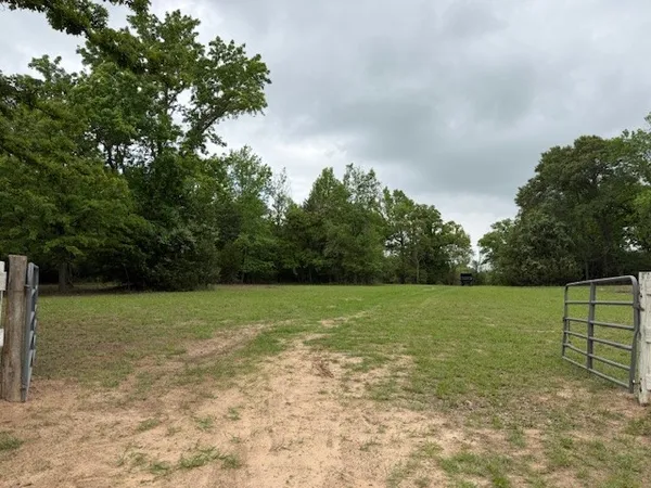 $116,500 | 17952 County Road 224, Oakwood, TX 75855