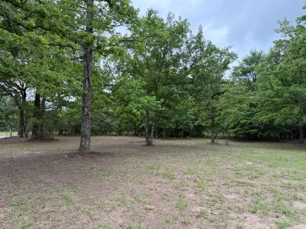 $116,500 | 17952 County Road 224, Oakwood, TX 75855