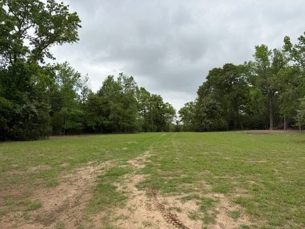 $116,500 | 17952 County Road 224, Oakwood, TX 75855