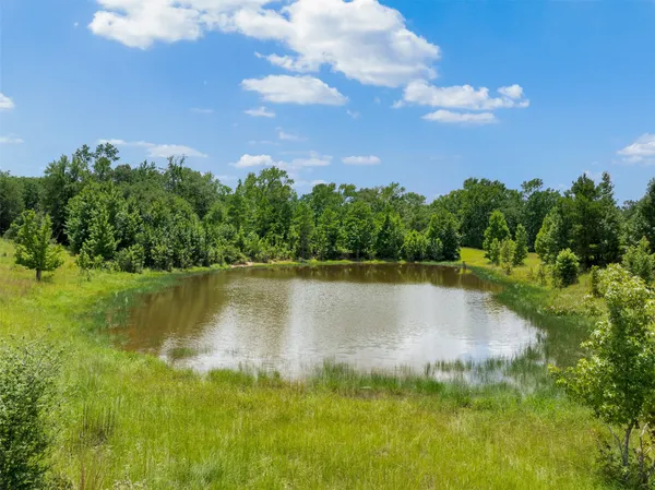 $116,500 | 17952 County Road 224, Oakwood, TX 75855