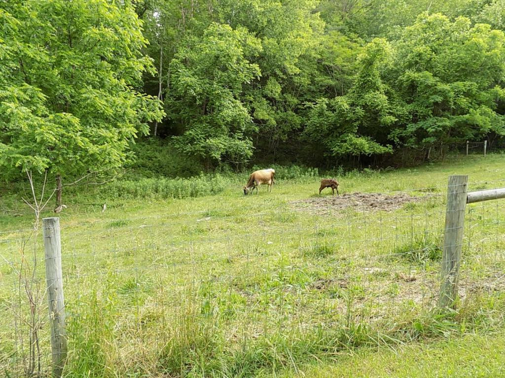 120 Golf Course Road Rogersville, TN 37857 - Photo 10 of 36 Photo 10