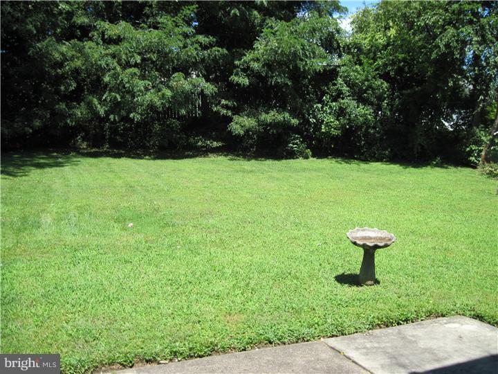 9766 Susan Road Philadelphia, PA 19115 - Photo 16 of 16 Back Yard
