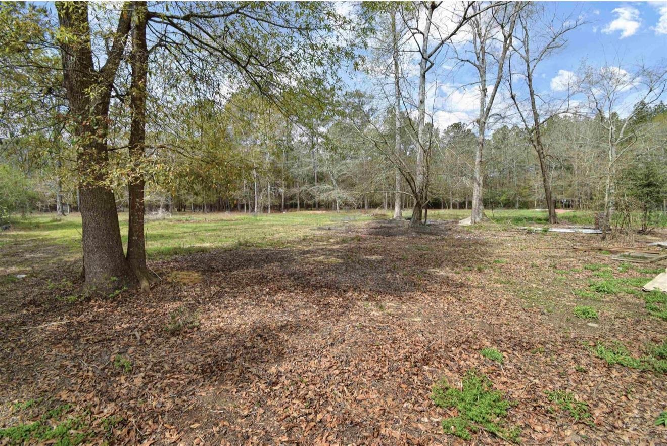 655 County Road 4525 Warren, TX 77664 - Photo 12 of 14