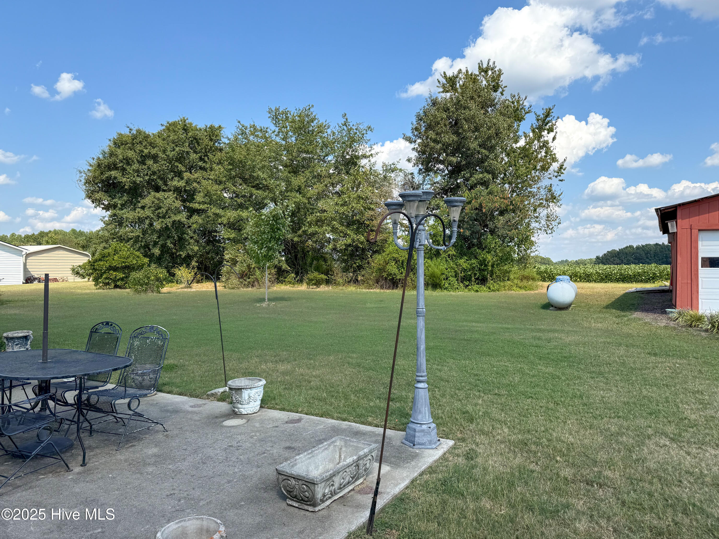 6965 Rock Ridge Sims Road Sims, NC 27880 - Photo 21 of 22 Backyard