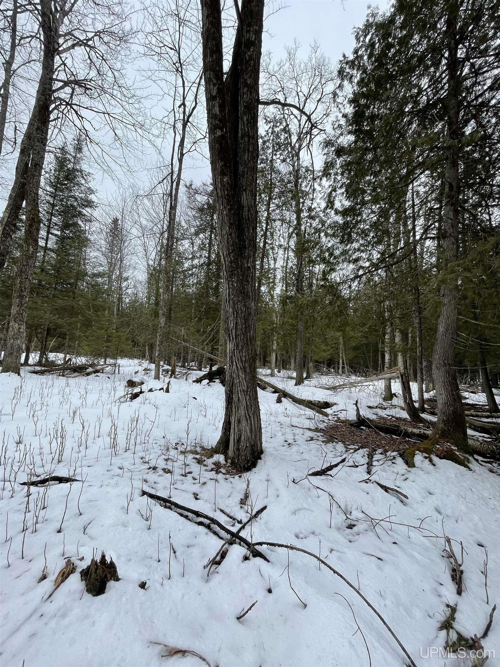 11128 Co Road Rapid River, MI 49878 - Photo 80 of 97