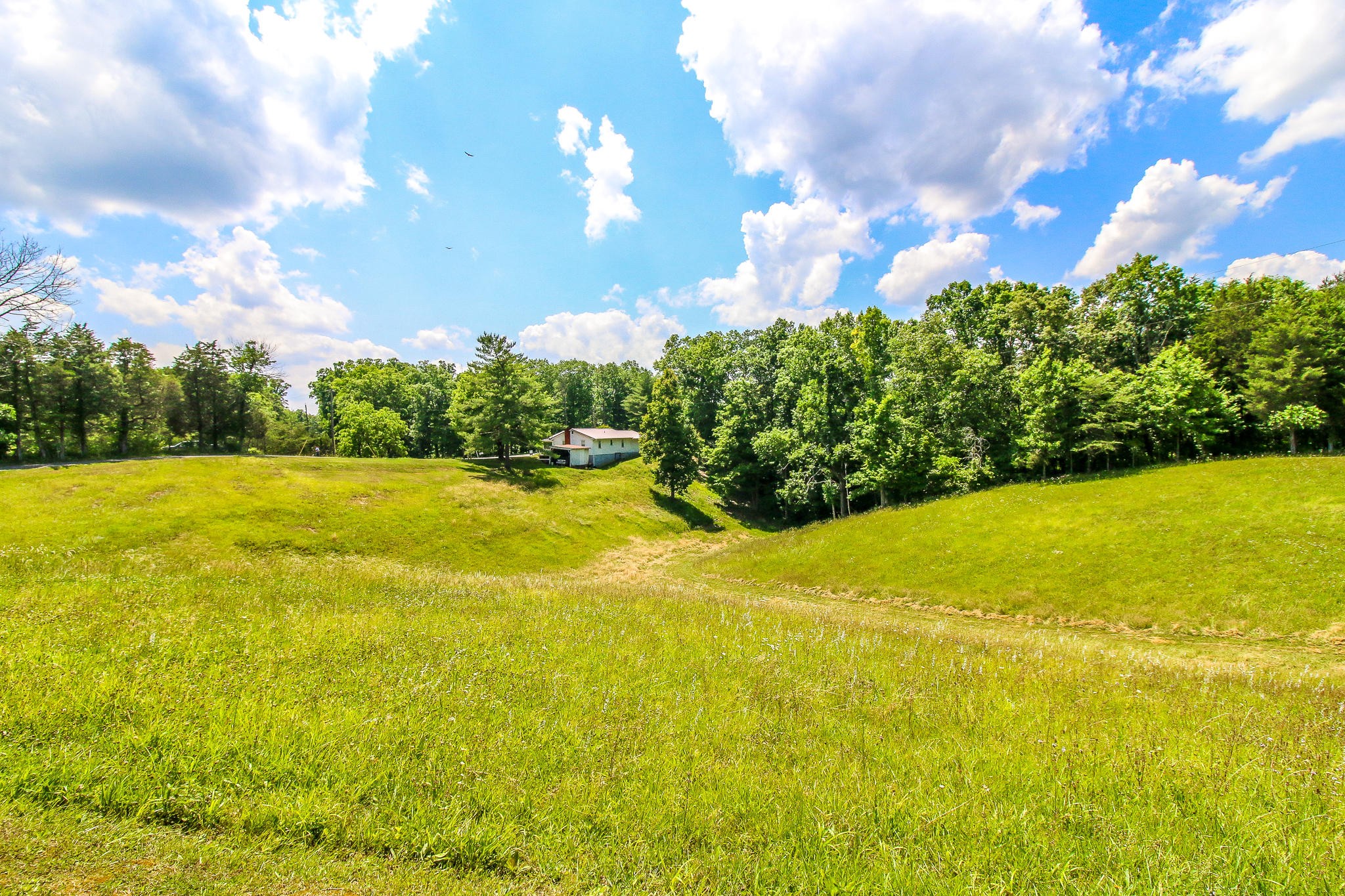 10425 Slemp Road Kodak, TN 37764 - Photo 6 of 21 a view of a big yard with swimming pool and green space