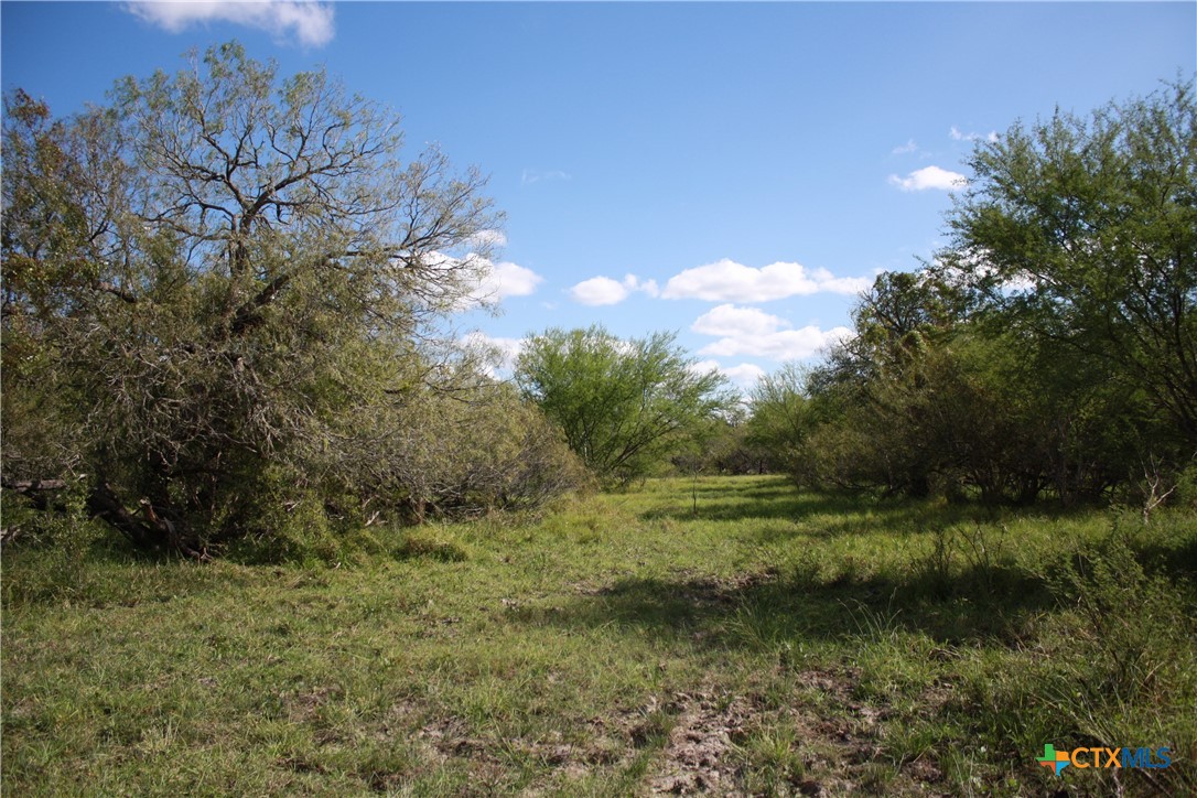 2 County Road 1144, Unit 2 Sinton, TX 78387 - Photo 5 of 14