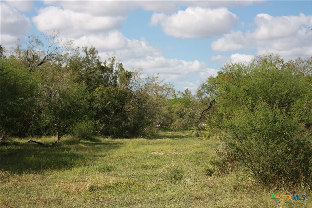 2 County Road 1144, Unit 2 Sinton, TX 78387 - Photo 8 of 14