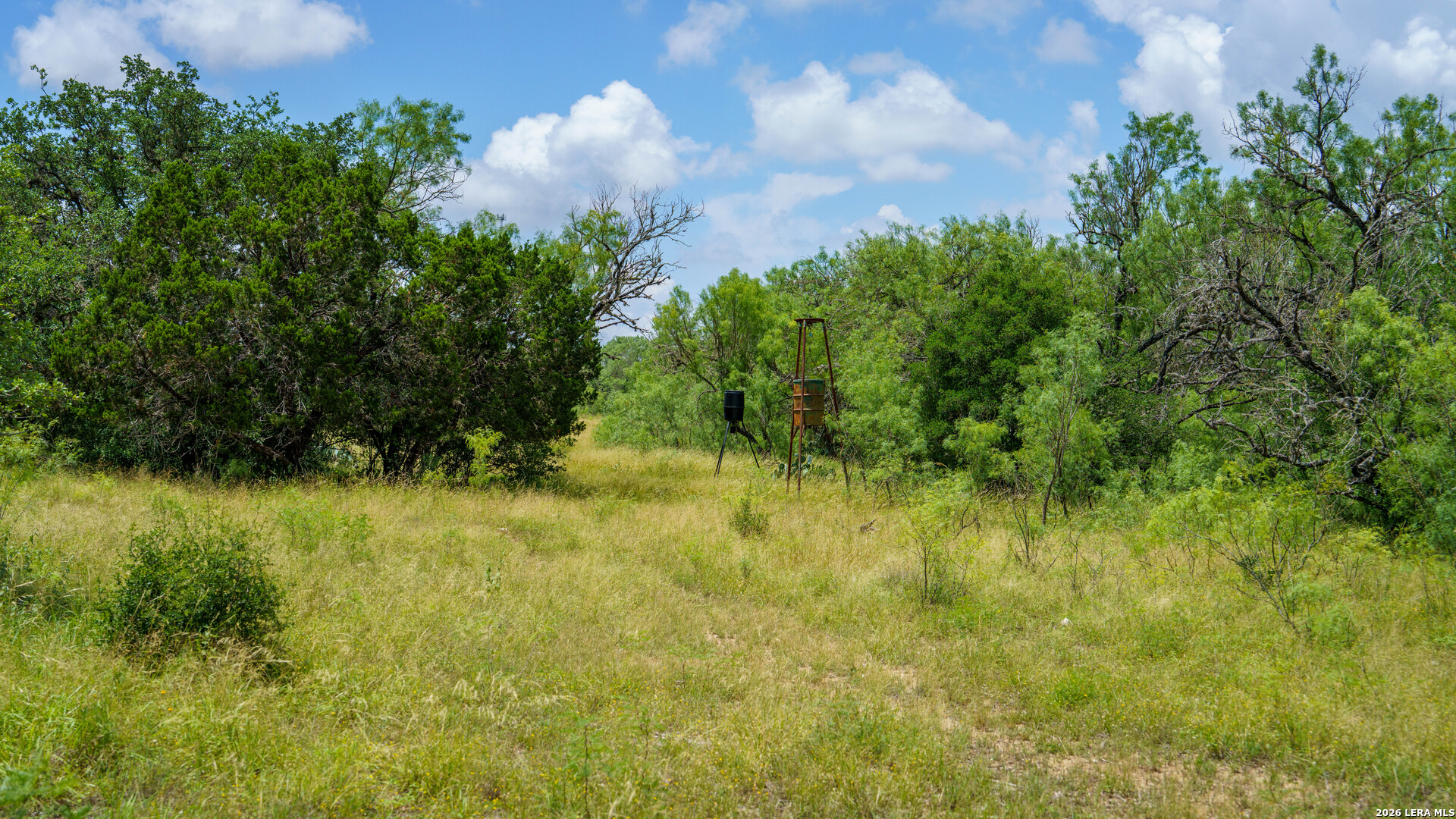 1231 B & R Road Vanderpool, TX 78885 - Photo 17 of 34 Gallery Image 17
