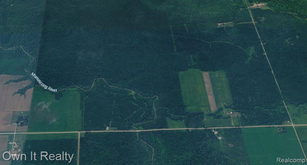 0 East Townline Road Pickford, MI 49774 - Photo 4 of 4