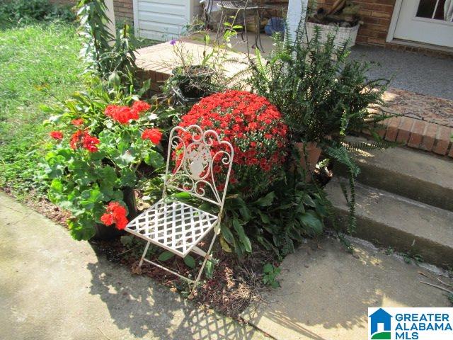 347 Pine Mountain Road Remlap, AL 35133 - Photo 35 of 49