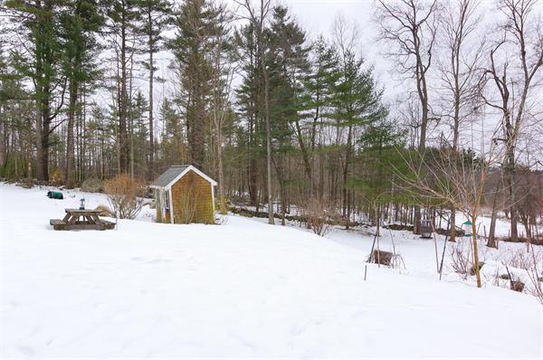 41 Frye Road Bolton, MA 01740 - Photo 19 of 24 a view of a park with trees