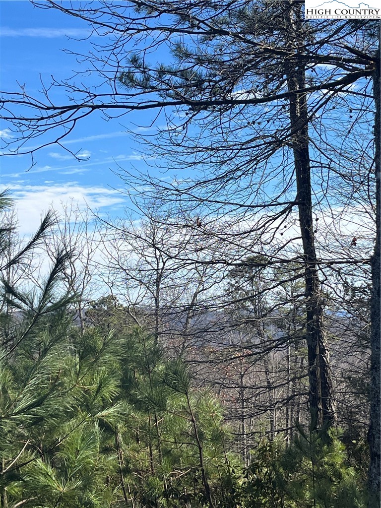 Lot 99 Nightshade Road Boone, NC 28607 - Photo 2 of 24