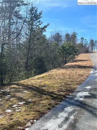 a view of a yard with a tree