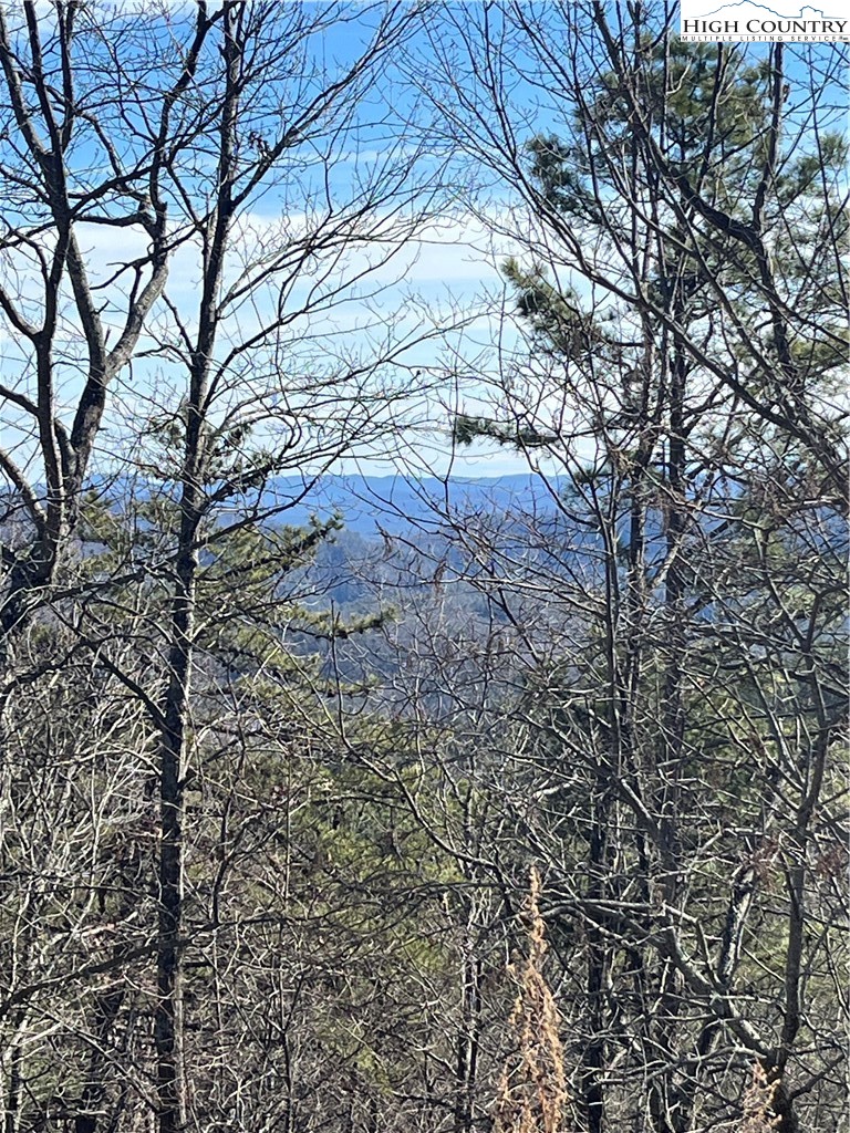 Lot 99 Nightshade Road Boone, NC 28607 - Photo 4 of 24 a view of a yard with a tree
