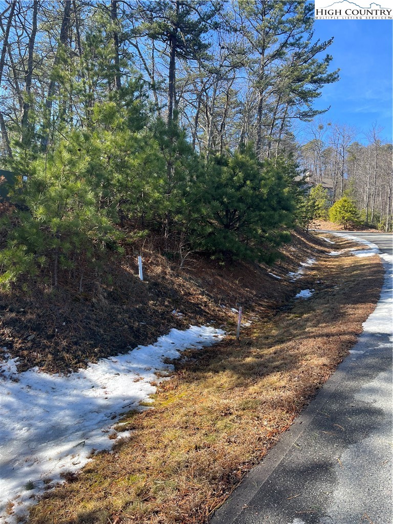 Lot 99 Nightshade Road Boone, NC 28607 - Photo 7 of 24 a view of a yard with plants and trees