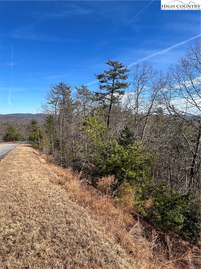 Lot 99 Nightshade Road Boone, NC 28607 - Photo 8 of 24 a view of a yard with a tree