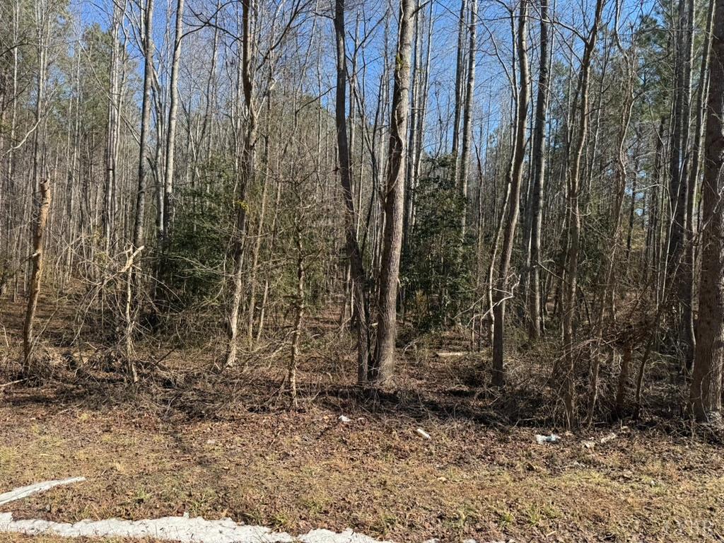 5 Sturgeon Road Dolphin, VA 23843 - Photo 3 of 7
