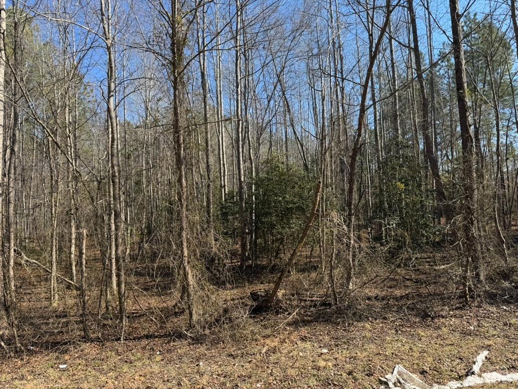 5 Sturgeon Road Dolphin, VA 23843 - Photo 4 of 7