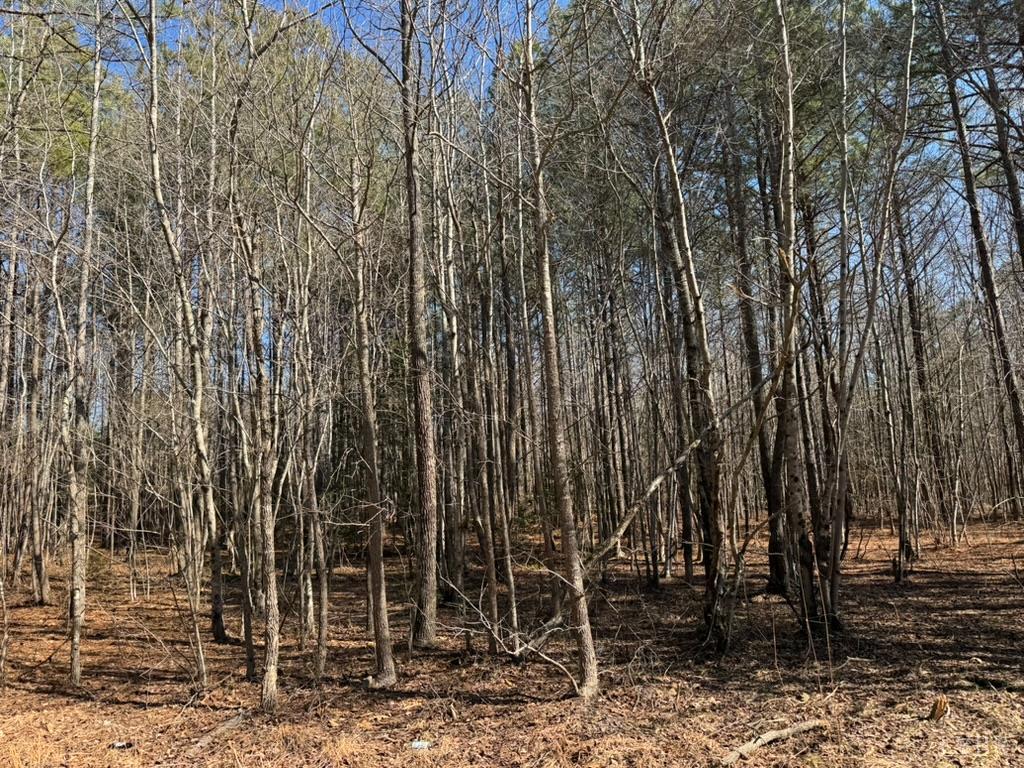 5 Sturgeon Road Dolphin, VA 23843 - Photo 5 of 7