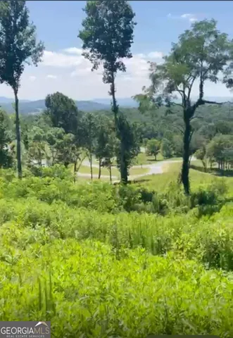 $90,000 | Lot 16-parcel Lot 16-parcel Big Valley Drive, Blairsville, GA 30512