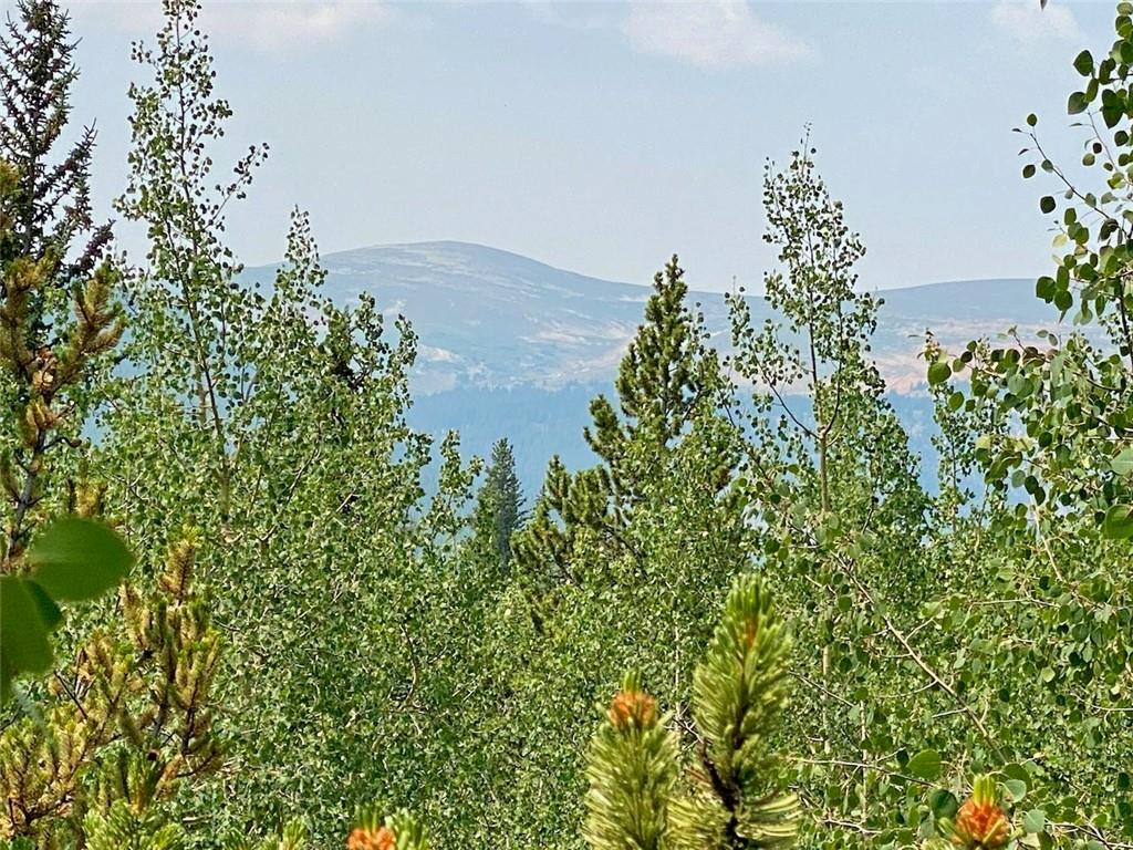 475 Adventure Road Alma, CO 80420 - Photo 1 of 15 Gallery Image 1