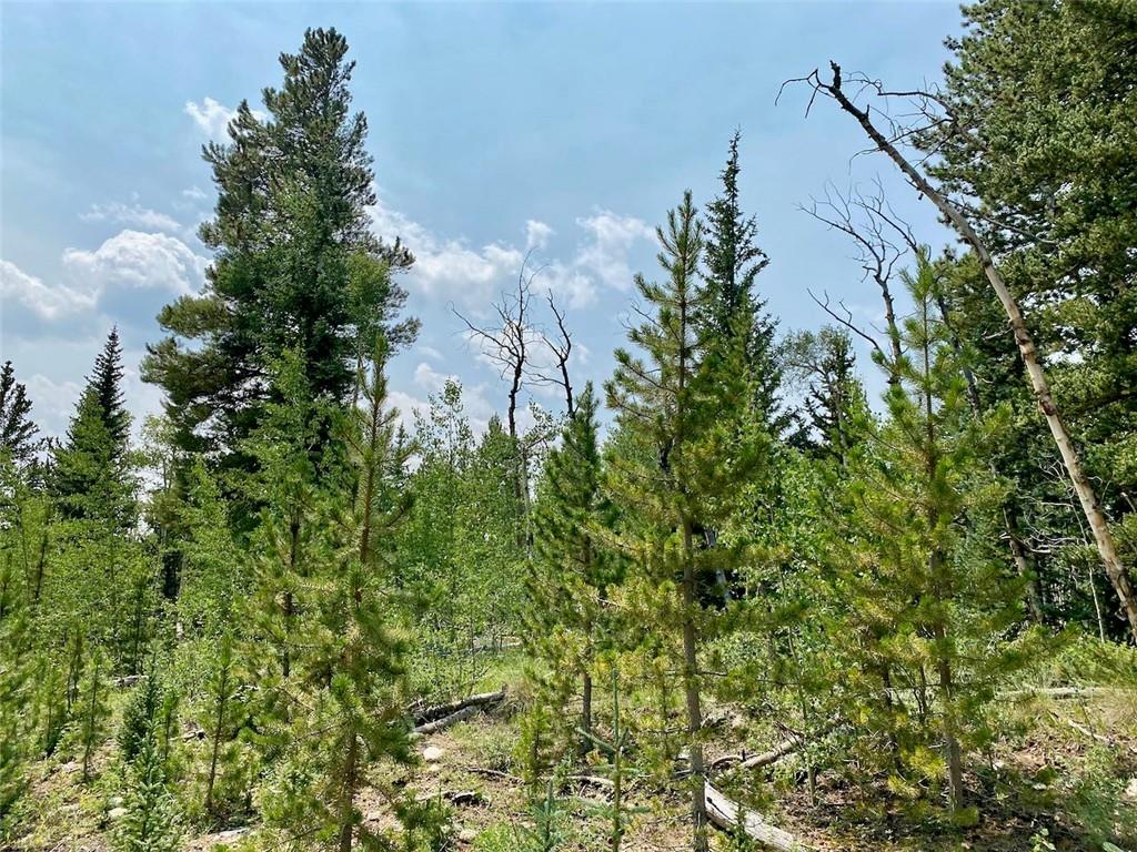 475 Adventure Road Alma, CO 80420 - Photo 11 of 15 Gallery Image 11